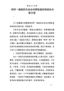 两学一做组织生活会对照检查材料政治合格方面