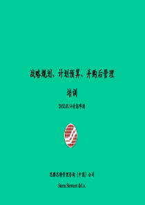 思腾思特-青岛啤酒-战略管理咨询报告