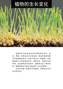 教科版小学科学三年级下册一单元