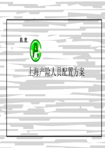 麦肯锡给某公司做的人员配置方案-对新公司和需要重组的公司非常有用