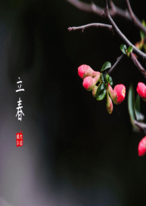 三年级下册语文《绝句》课件
