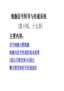 15-细胞信号传导(14、15章)总结