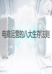 电商运营生存法则资料