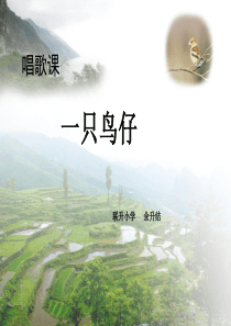 一只鸟仔