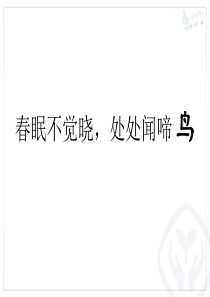 百鸟朝凤PPT