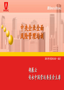 2011安永-中央企业全面风险管理培训