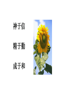 中铁建人力资源管理及企业文化咨询项目建议书