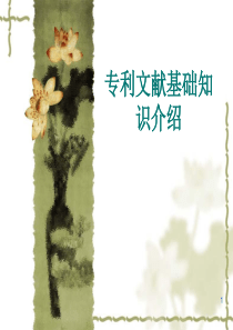 专利文献基础知识介绍