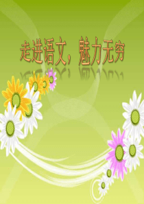 走进语文,魅力无穷
