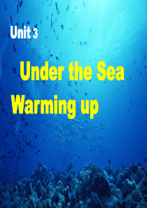 选修7Unit3-Under-the-sea--Warming-up