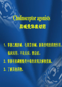 抗胆碱酯酶药和胆碱酯酶复活药本科