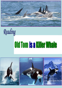 Unit3《Under-the-sea》Reading