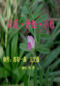 采薇创新课件