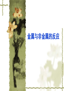 金属与非金属的反应讲解