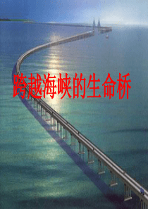 跨越海峡的生命桥PPT