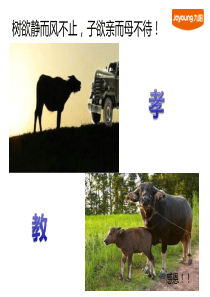 设备管理体系概述