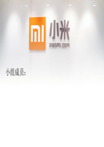 小米电子商务战略规划分析