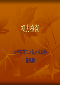 视力检查