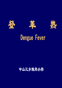预防登革热1