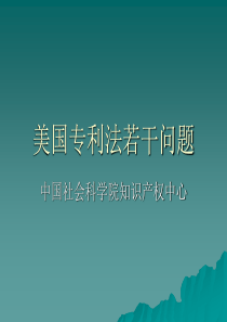 美国专利法若干问题