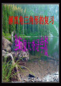 【初中数学课件】解直角三角形的复习ppt课件