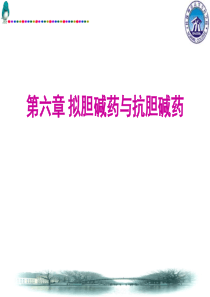 拟胆碱药与抗胆碱药
