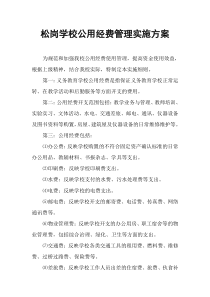 公用经费管理实施方案