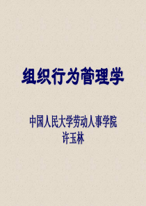 组织行为管理学中国人民大学劳动人事学院许玉林