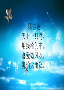 风筝介绍(完整版)