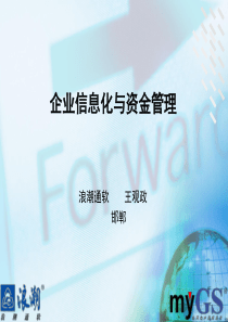 企业信息化与资金管理