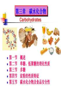 食品化学-碳水化合物