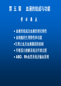 血液及其组成
