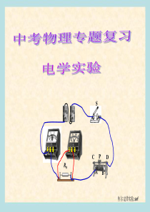 中考物理总复习电学实验专题(ppt课件)