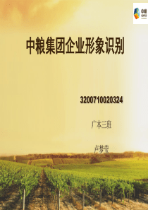 中粮集团