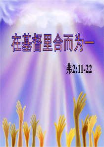 基督教讲道系列：在基督里合而为一