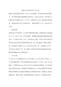 2016年党支部年度工作计划