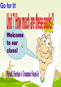 人教版七年级英语上册Unit 7 How much are these socksSection A