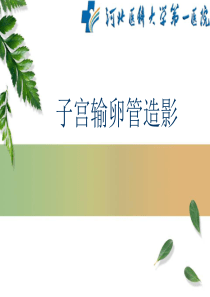 子宫输卵管造影-影像FTP