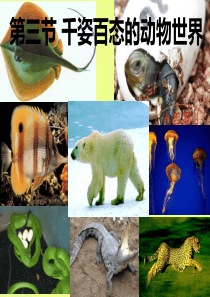 苏教版八年级生物下册第22章第三节千姿百态的动物世界