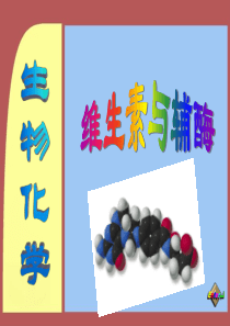 维生素与辅酶-1