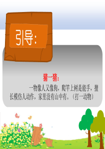猴子捞月