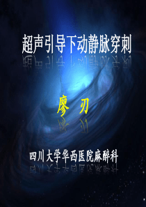 12..2014-04-13超声引导下动静脉穿刺