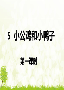 5.小公鸡和小鸭子课件