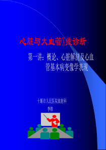 心脏解剖及X线表现