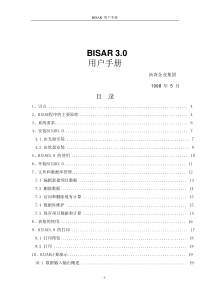 BISAR3.0中文使用手册(0下载券)