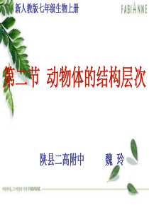 七年级生物_动物体的结构层次_课件
