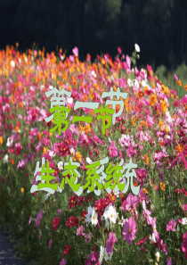 七年级生物《生态系统》PPT课件