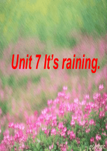 新目标英语七年级下册(新版)Unit6-Its-raining!课件