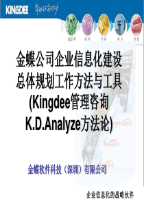 企业信息化建设总体规划要点培训(金蝶公司)