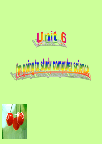 2013年人教新目标英语八年级上Unit6期末复习课件